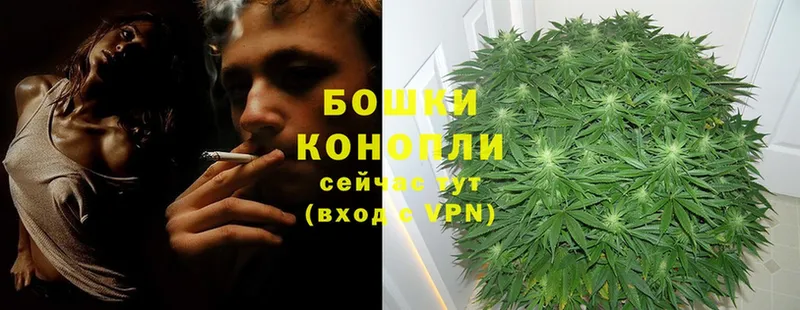 где можно купить наркотик  KRAKEN зеркало  Шишки марихуана THC 21%  Зерноград 